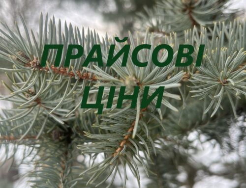 ЦІНИ